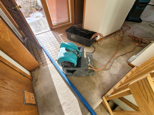 Best 24-hour water damage restoration  in Glen Ridge, NJ