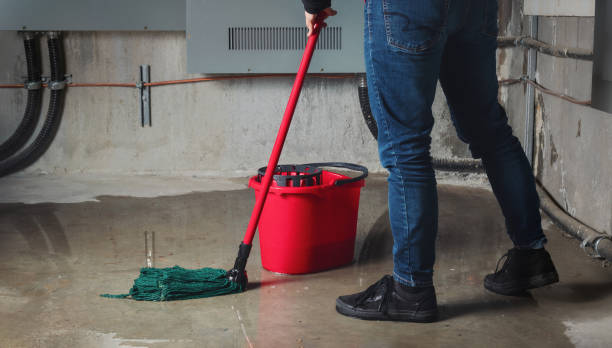 Best Flood restoration services  in Glen Ridge, NJ