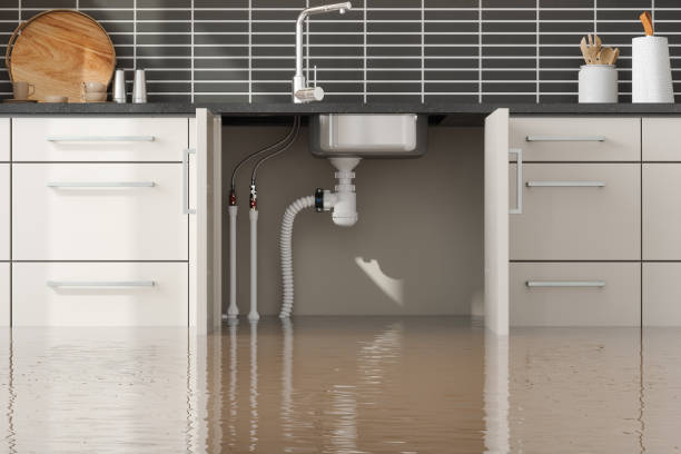 Best Water damage contractors near me  in Glen Ridge, NJ