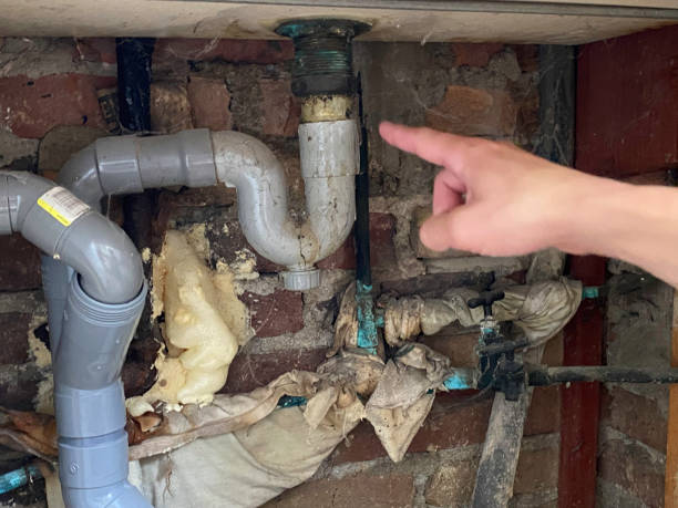 Best Mold removal after water damage  in Glen Ridge, NJ